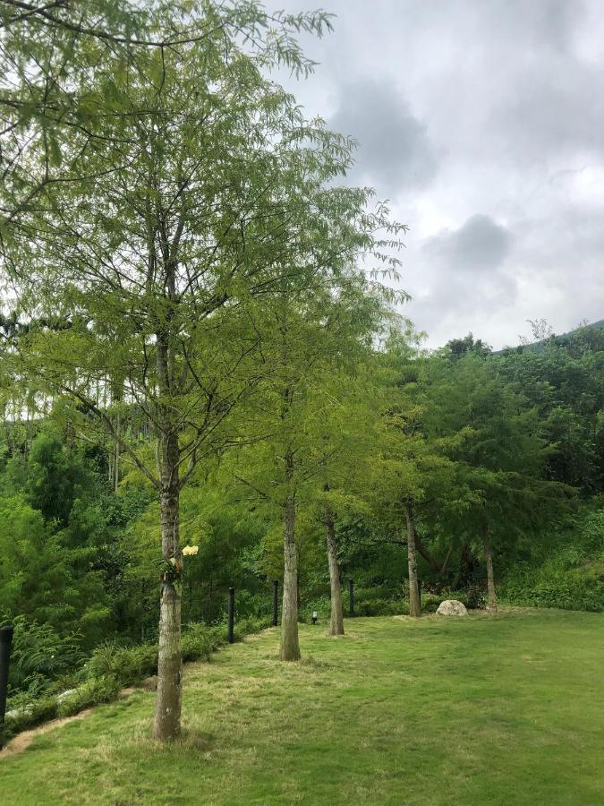 晨曦森林民宿 凤林镇 外观 照片